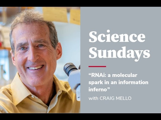 RNAi: a molecular spark in an information inferno - Craig Mello