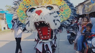 Kirab Barongan Sosrobirowo & Drumband Sorban. Tebasan Bogosari Guntur