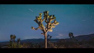 Alchemorph - Stargazing (Future Garage / Ambient / Study Music)