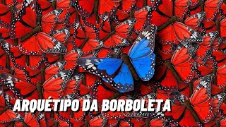 Arquétipo Da Borboleta Significado Da Borboleta Animal De Poder