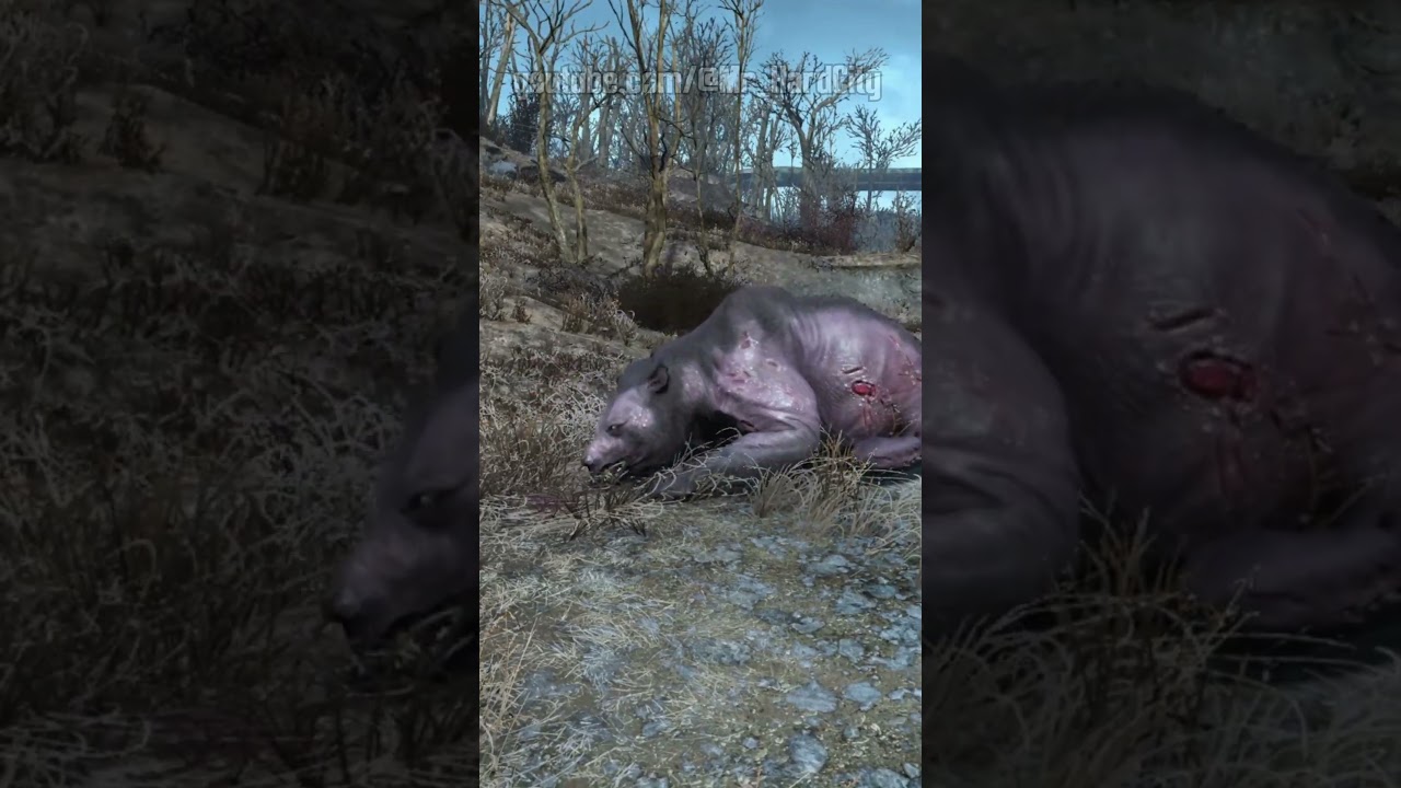 ТОП ОРУЖИЕ ДЛЯ СПУТНИКОВ В FALLOUT 4 