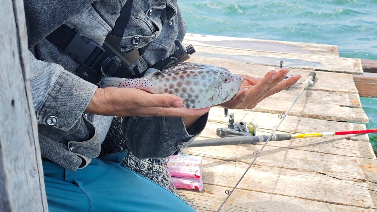 LÊN HÀNG LIÊN TỤC TOÀN CÁ TO 3 ANH EM CHỐNG MÓM ĐẦU NĂM THÀNH CÔNG!