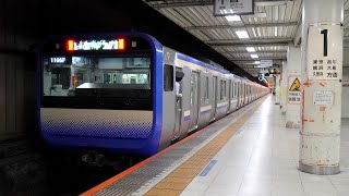 【4K60P】【地下水との闘い】JR総武快速線E235系1000番台、E217系、255系「特急しおさい」、E259系「特急成田エクスプレス」到着・発車・通過シーン集 馬喰町駅にて 2023.7