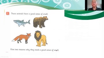 Unit 4 4 Check your Progress video