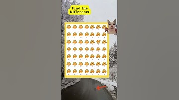 find the diff #16 #ez spot #play