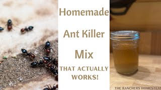 Homemade Ant Killer Mix That ACTUALLY Works!