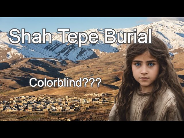 DNA results of Bronze Age Iranian (sha006)