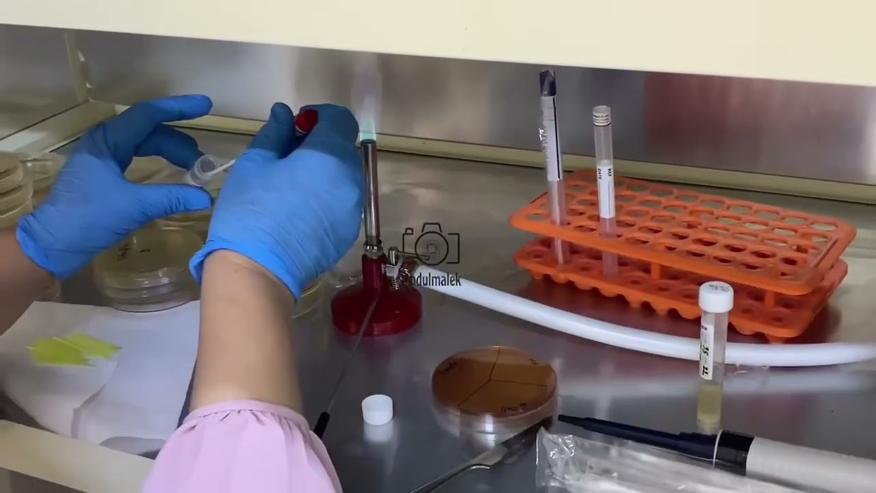 جوله و استطلاع في ارجاء قسم التقنيات الاحيائية-كلية العلوم-جامعة الأنبار