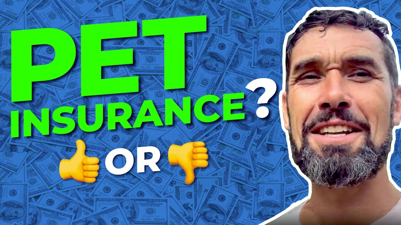 Is Pet Insurance Worth it? Dog Trainer Weighs In! YouTube