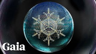 How Much Intelligence Does a SINGLE HUMAN CELL Have? screenshot 3