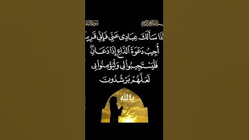 قران كريم راحه نفسيه #اكسبلور #المشيشي #دويتو #اكسبلورهاشتاقات #الخليج