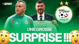 🚨 ALGERIA: HEMDANI AS HEAD COACH, A WINNING BET OR A BIG RISK?