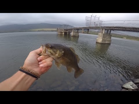Bass Fishing Before the Storm