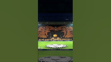 BVB TIFO ultras #shorts #football #bvb