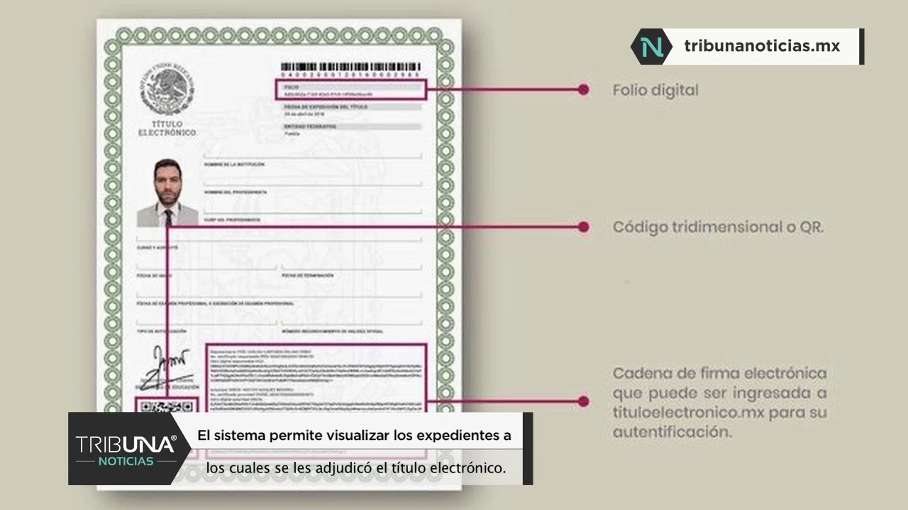 SEP emite más de 11 mil títulos electrónicos de licenciatura, maestría y doctorado