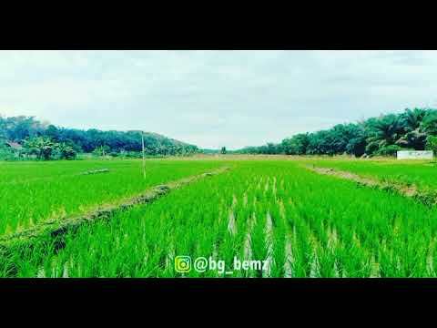 Ringtone Suling Sunda Gratis untuk Nada Dering