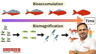 Bioaccumulation &amp; Biomagnification Explained | Environment | SSC UPSC UPPSC 2026