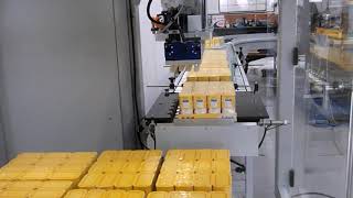 GP P1 Gantry Palletiser