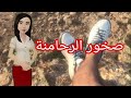 جولة في منطقة صخور الرحامنة   