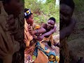 CHAABA REALLY WANTS TO EAT#hadzabetribe #africa #bushman #simplelife