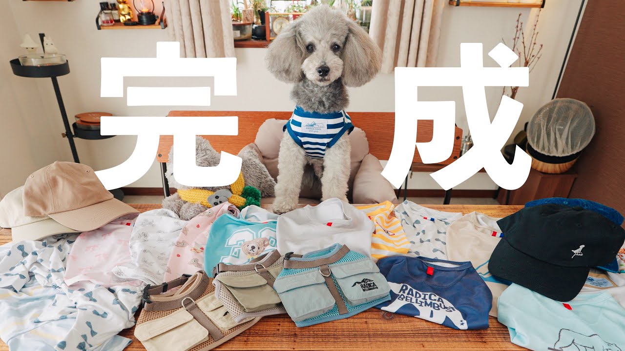 🐶We have completed some cool dog items that we definitely