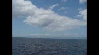 Taking Weesam Express From Cebu To Bohol Island - 3