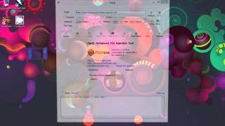 How to test sql injection with havij