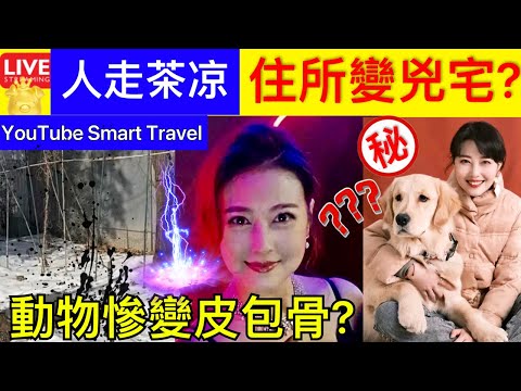 Smart Travel《娱乐八卦》｜周海媚北京寓所 人走茶凉 住所變兇宅? ｜周海媚逝世丨周海媚北京寓所人去樓空 菜園翠綠盎然已變灰白 曾透露住鄉郊別墅原因｜動物慘變皮包骨?｜ 即時新聞 娛圈秘聞