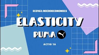 ECO162 GROUP ASSIGNMENT - Elasticity of PUMA
