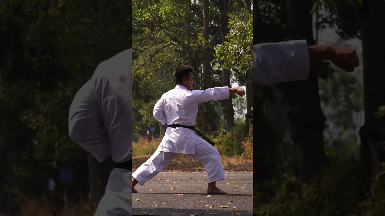 Basic Kumite 2  