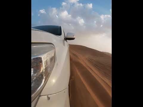 Desert Safari tour.       date18/11/2021