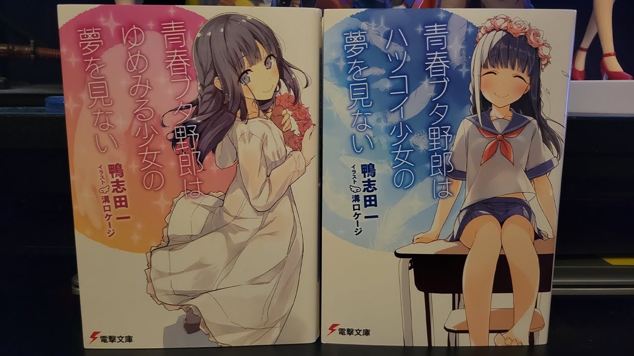 English Light Novel Updates for Volumes 6 & 7! Rascal Does Not Dream