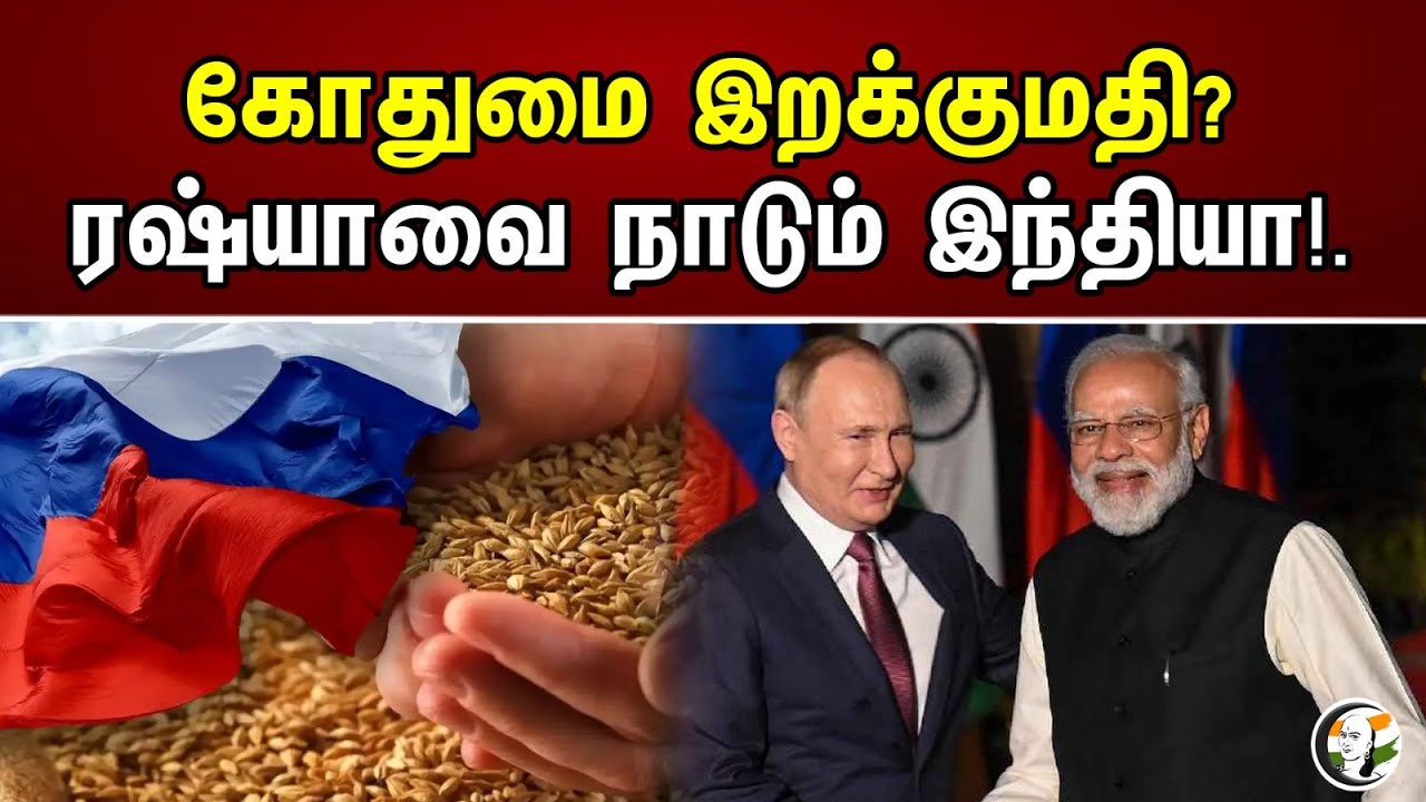 கோதுமை இறக்குமதி? ரஷ்யாவை நாடும் இந்தியா! | Wheat Imports? India Seeking Russia!