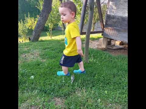 Image To Video Movie Maker 