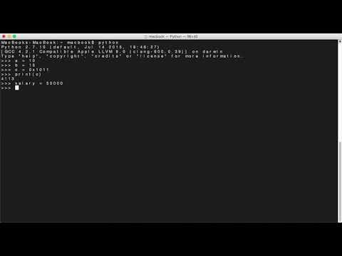 Literals and Identifiers | Python Beginner to Advanced | Explained in Urdu/Hindi