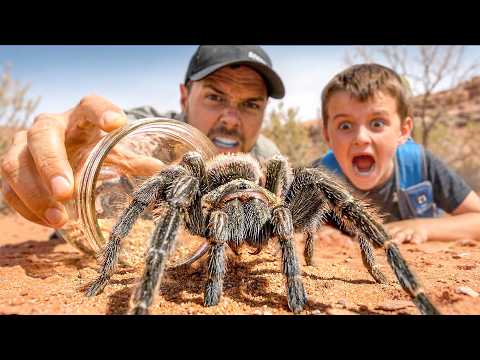 Catching Big Spiders With Our Subscribers!