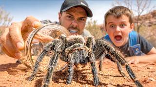 Catching Big Spiders with our Subscribers!