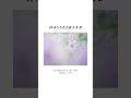 Hasselblad 907X 100Cでホテイアオイを撮影しました！細かい部分まで写せて撮っていてとにかく感動です！#pr #Hasselblad #907x100c #撮影方法