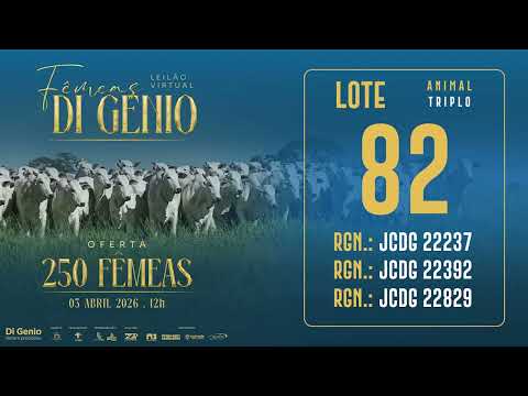 LOTE 82 JCDG 22237  22392 22829