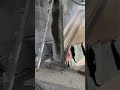 Marble cutting #constrcution #havymechanical #marble #steel #viral #trending #praxisconstruction