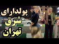 IRAN - Walking In East Of Tehran City Luxury Neighborhood