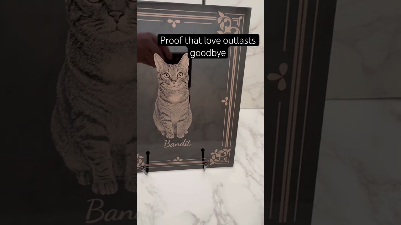 Proof that love outlives goodbye