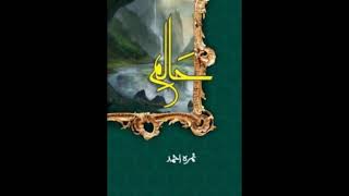 Haalim Chapter 12/23 Complete Audio Book screenshot 4