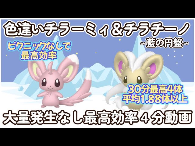 藍の円盤 色違いチラーミィ＆チラチーノ最高効率4分まとめ 30分最高4体