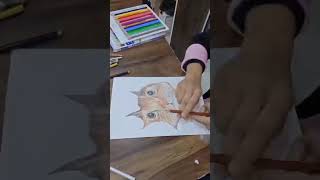 First Time Drawing? Create Cat Using Pencil Colors on Sheet Easily