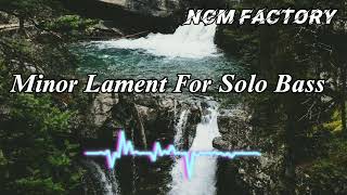 Minor Lament for Solo Bass - John Patitucci | NON COPYRIGHT MUSIC BY NCM FACTORY