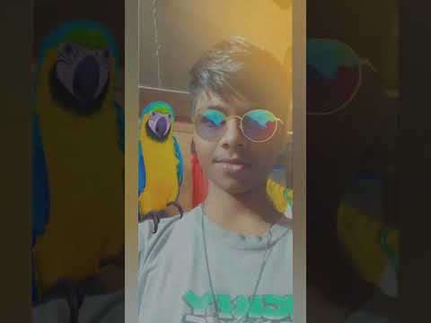 Happy Birthday Remix I Choreo By Lambiboy I Zumba I