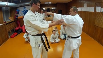 Uechi-ryu karate / JIYU-KUMITE / Free Sparing combinations 2