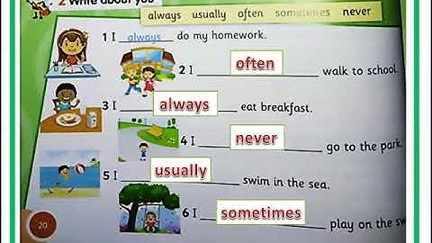 connect plus primary 2 unit 2 part 2 كونكت بلس الصف الثانى الوحدة الثانية الجزء الثانى