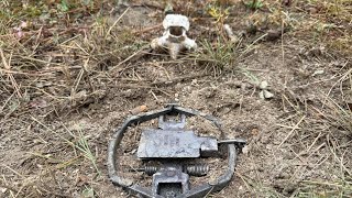 The Tbone Set Explained